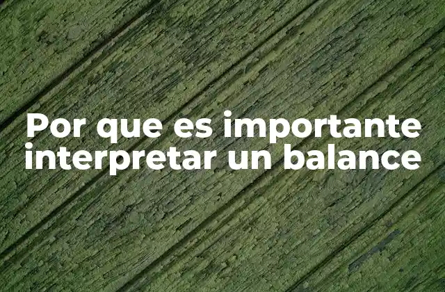 El balance como espejo del estado económico de una empresa