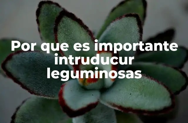 Por que es Importante Intruducur Leguminosas