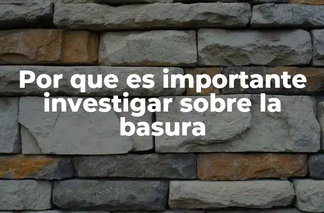 Por que es Importante Investigar sobre la Basura
