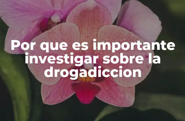 Por que es Importante Investigar sobre la Drogadiccion