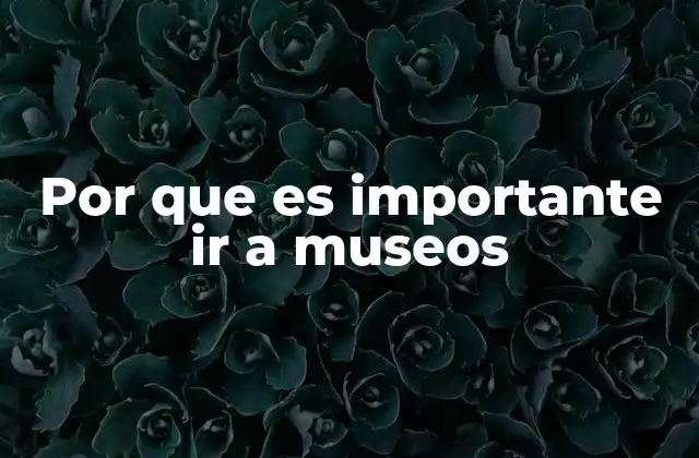 Por que es Importante Ir a Museos