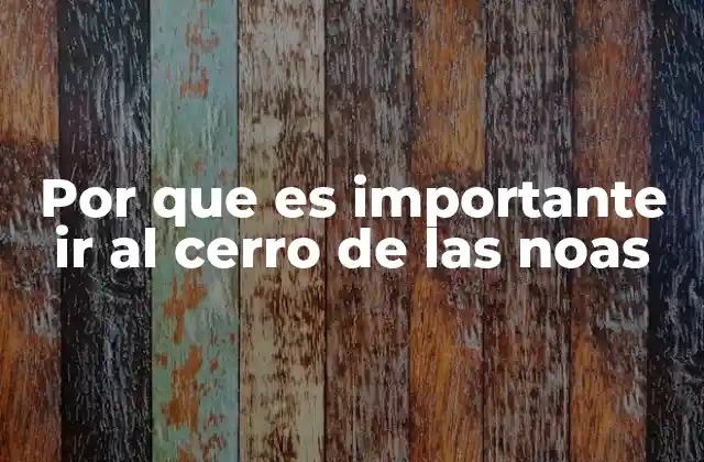 Por que es Importante Ir Al Cerro de las Noas