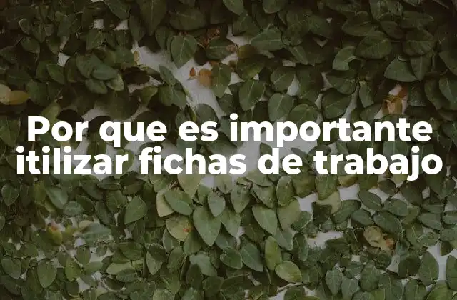 Por que es Importante Itilizar Fichas de Trabajo