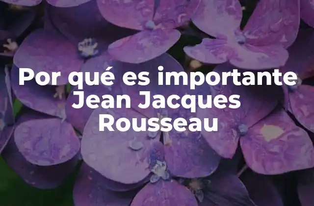 Por Qué es Importante Jean Jacques Rousseau