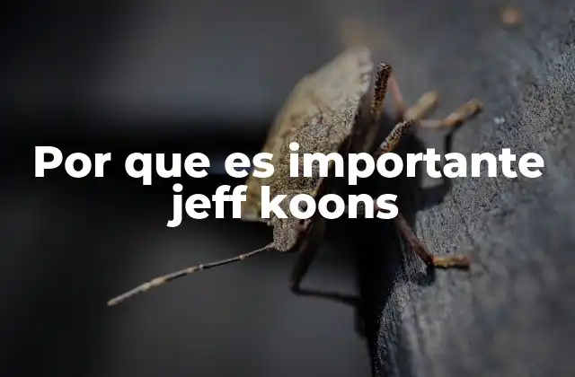 Por que es Importante Jeff Koons