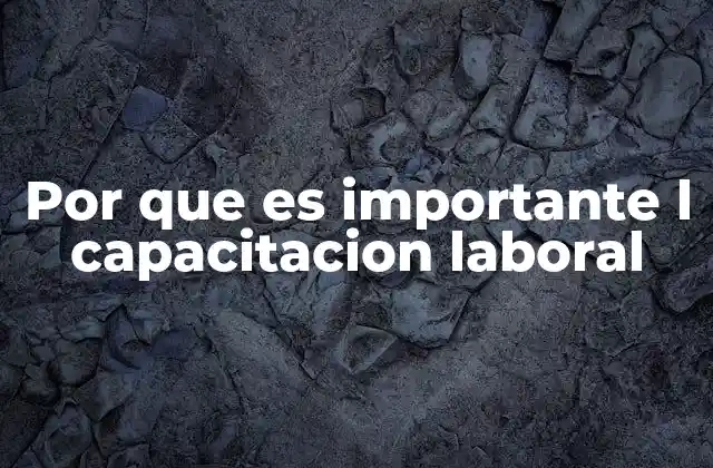 Por que es Importante L Capacitacion Laboral