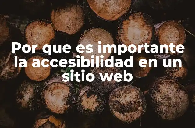 Por que es Importante la Accesibilidad en un Sitio Web
