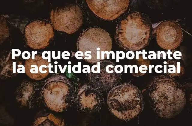 Por que es Importante la Actividad Comercial