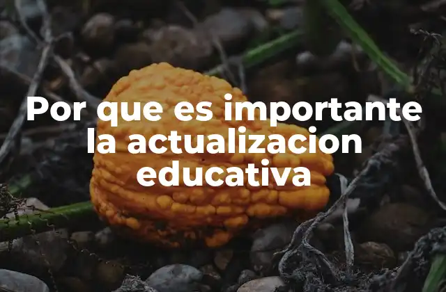 Por que es Importante la Actualizacion Educativa