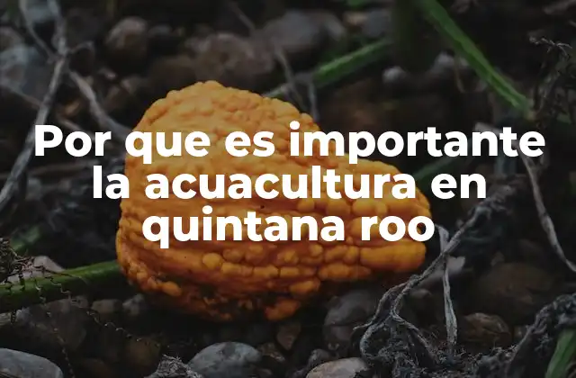 Por que es Importante la Acuacultura en Quintana Roo