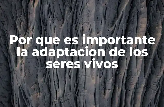 Por que es Importante la Adaptacion de los Seres Vivos