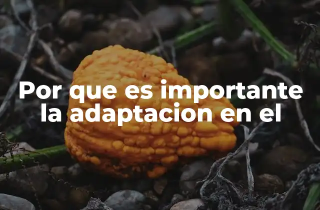 Por que es Importante la Adaptacion en el