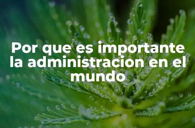Por que es Importante la Administracion en el Mundo