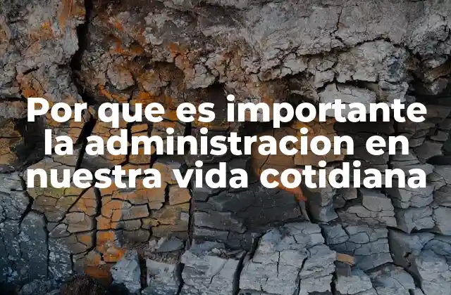 Por que es Importante la Administracion en Nuestra Vida Cotidiana