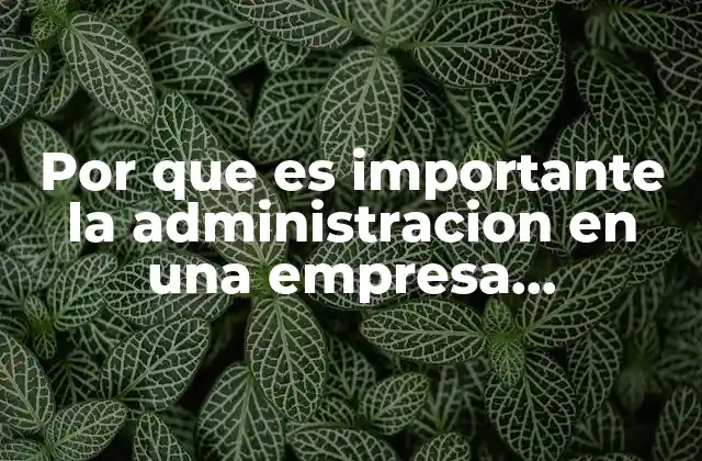 Por que es Importante la Administracion en una Empresa Introduccion