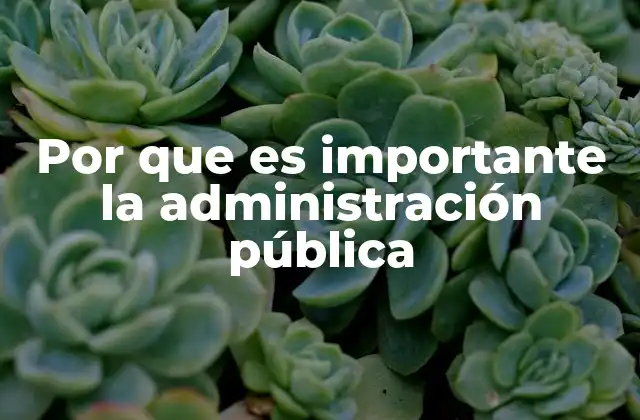 El impacto de una gestión eficiente en el bienestar colectivo