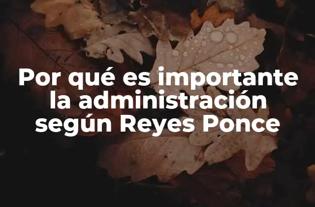 Por Qué es Importante la Administración según Reyes Ponce