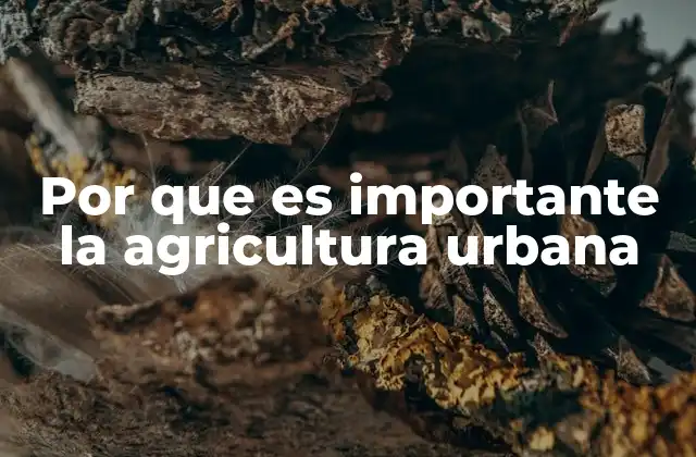 Por que es Importante la Agricultura Urbana
