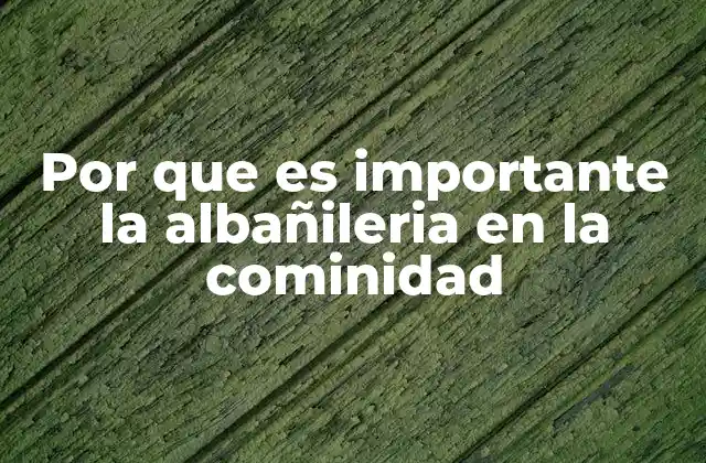 Por que es Importante la Albañileria en la Cominidad