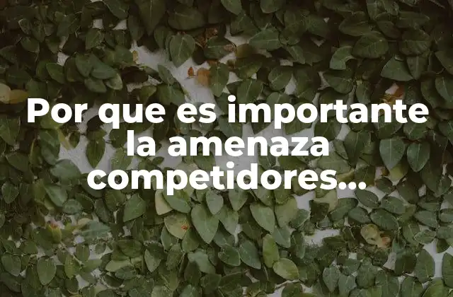 Por que es Importante la Amenaza Competidores Potenciales