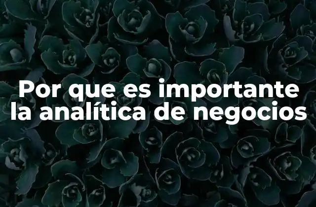Por que es Importante la Analítica de Negocios