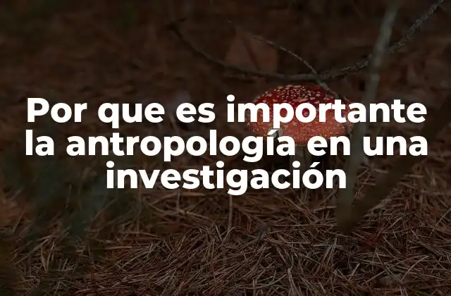 Por que es Importante la Antropología en una Investigación