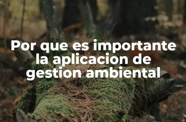 Por que es Importante la Aplicacion de Gestion Ambiental