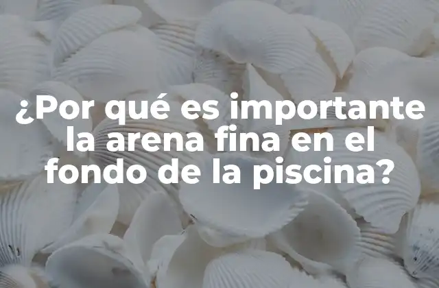 ¿por Qué es Importante la Arena Fina en el Fondo de la Piscina?