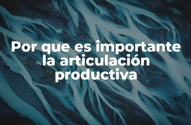 Por que es Importante la Articulación Productiva