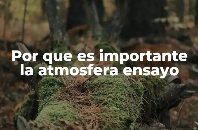 Por que es Importante la Atmosfera Ensayo