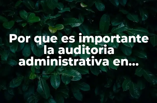 Por que es Importante la Auditoria Administrativa en Mexico
