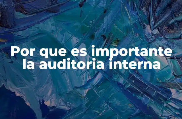 Por que es Importante la Auditoria Interna