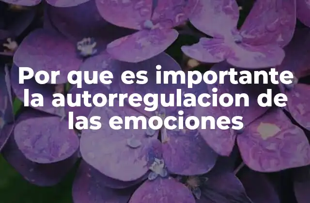 Por que es Importante la Autorregulacion de las Emociones