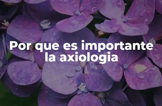 Por que es Importante la Axiologia