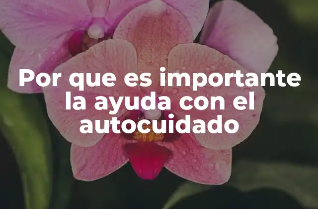 Por que es Importante la Ayuda con el Autocuidado