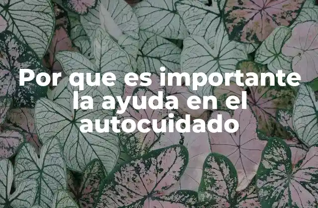 Por que es Importante la Ayuda en el Autocuidado