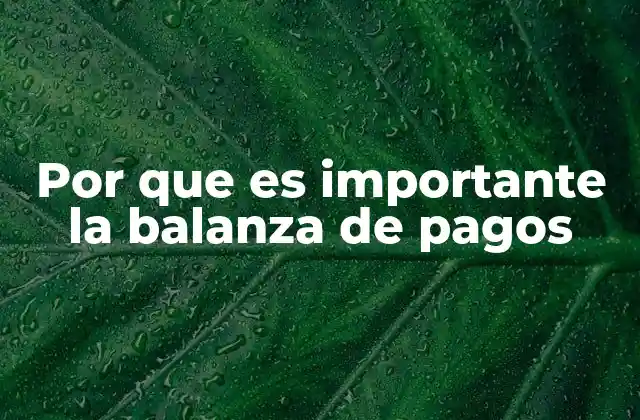 Por que es Importante la Balanza de Pagos 2 El papel de la balanza de pagos en la estabilidad económica nacional