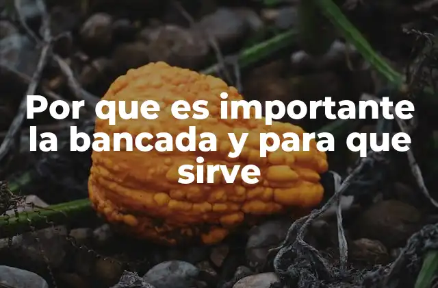 Por que es Importante la Bancada y para que Sirve