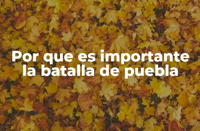 Por que es Importante la Batalla de Puebla