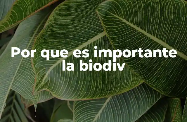 El equilibrio ecológico y la vida en el planeta