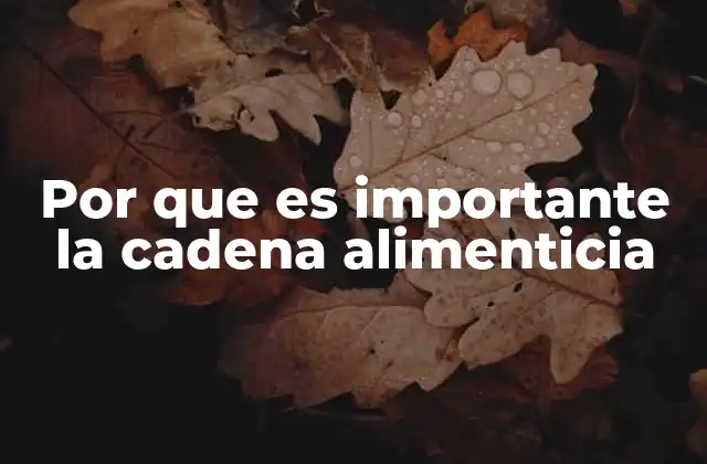Por que es Importante la Cadena Alimenticia