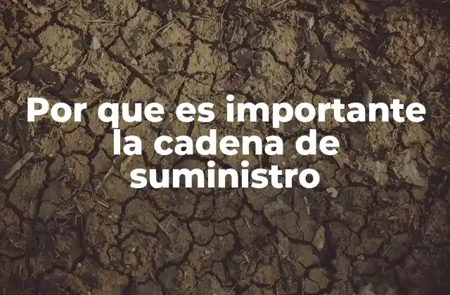 Por que es Importante la Cadena de Suministro
