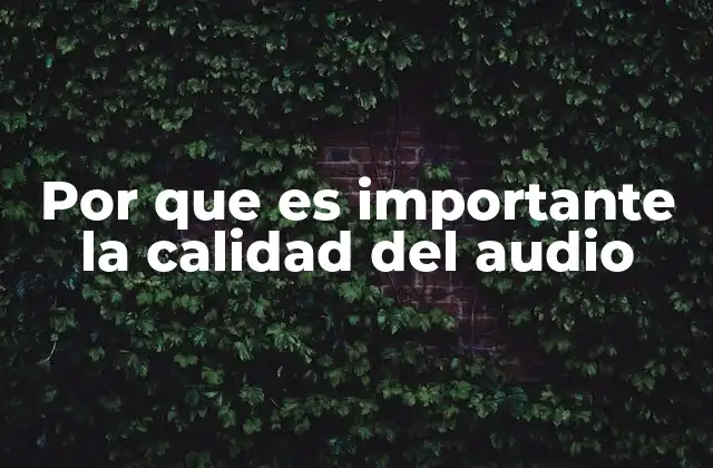 Por que es Importante la Calidad Del Audio