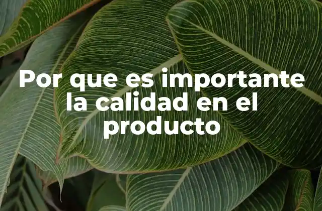 Por que es Importante la Calidad en el Producto