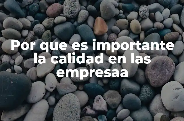Por que es Importante la Calidad en las Empresaa