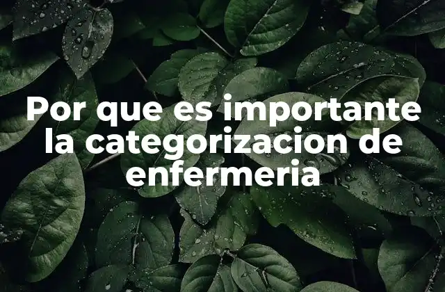 Por que es Importante la Categorizacion de Enfermeria
