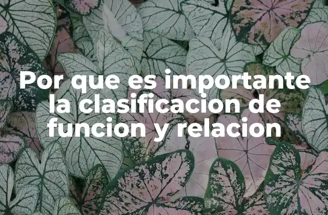 Por que es Importante la Clasificacion de Funcion y Relacion