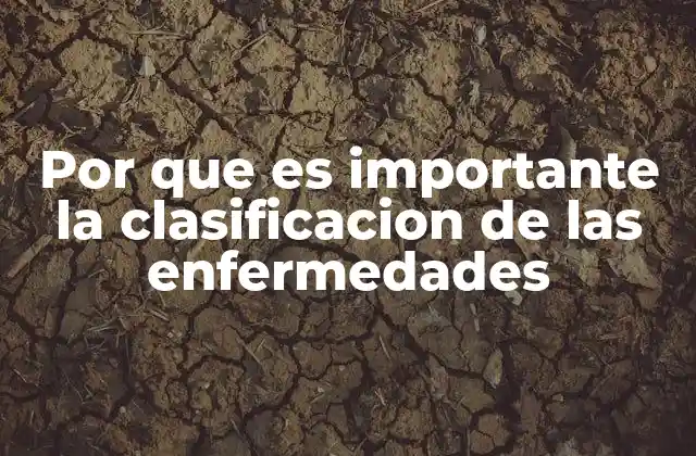 Por que es Importante la Clasificacion de las Enfermedades