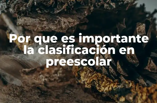 Por que es Importante la Clasificación en Preescolar