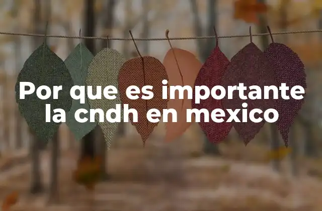 Por que es Importante la Cndh en Mexico